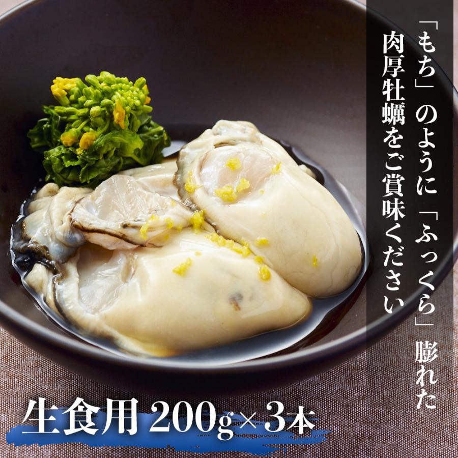 宮城県産 生食用 むき身牡蠣（200g×3本）冷蔵