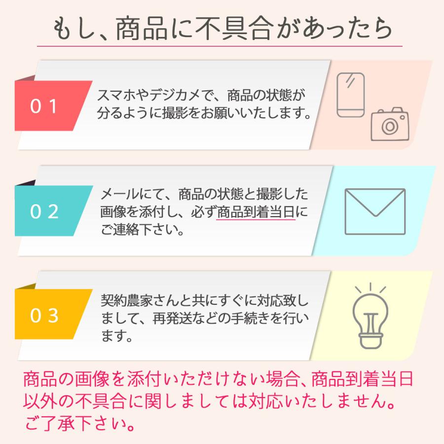 シャインマスカット 1房 約600〜700g 秀品 3〜4L 大房サイズ 贈答 青森県産 マスカット 種なし ぶどう 期間限定 数量限定