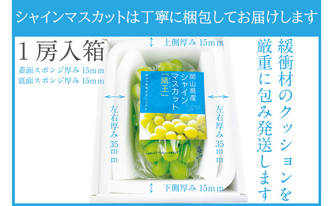 ぶどう 2024年 先行予約 シャイン マスカット 晴王 1房 約670g 晴れの国 おかやま 岡山県産 フルーツ王国 果物王国