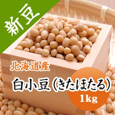 豆 白小豆 しろあずき 北海道産　令和４年産 1kg