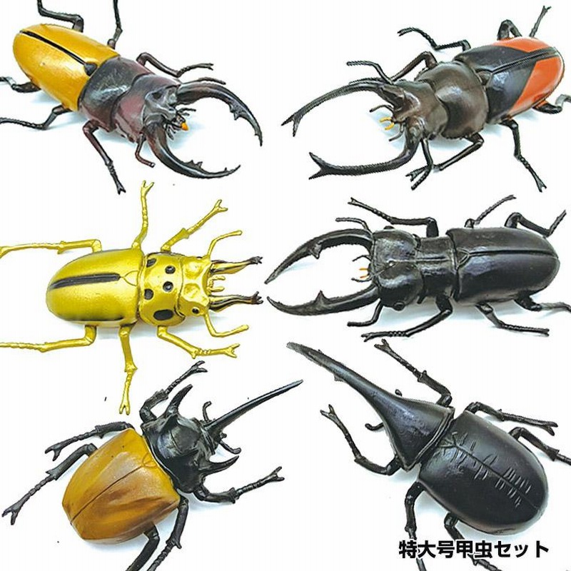 カブトムシ クワガタ 昆虫 セット 甲虫 大きい リアル おもちゃ、昆虫 模型 フィギュア コレクション | LINEブランドカタログ