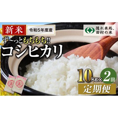 ふるさと納税 ＼新米／定期便2回 田村産 コシヒカリ10kg お米 福島県 田村市 田村 贈答 美味しい 米 kome コメご飯  特Aランク  一.. 福島県田村市