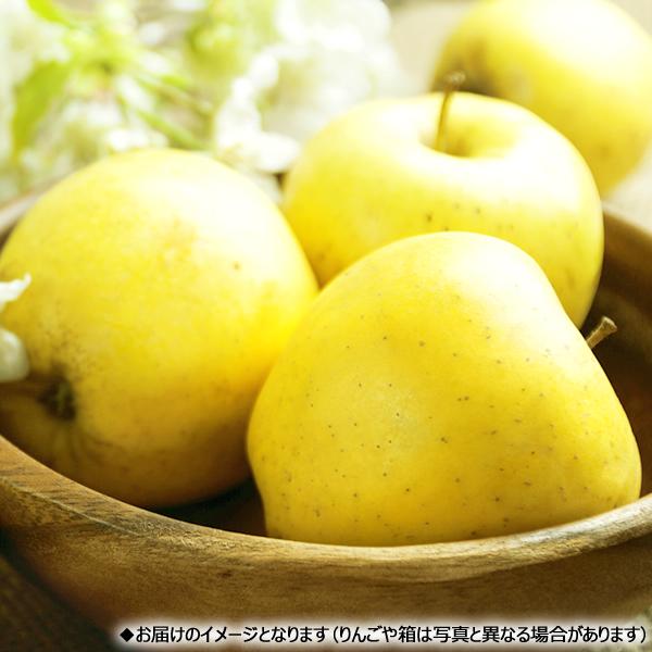 お歳暮 山形県産 りんご シナノゴールド 3kg (秀品 8玉〜12玉入り) 旬 リンゴ ギフト 贈り物 贈答 プレゼント のし 果物 フルーツ 山形県 産地直送 お取り寄せ