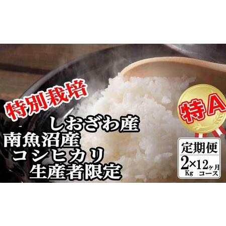 ふるさと納税 特別栽培 生産者限定 南魚沼しおざわ産コシヒカリ 新潟県南魚沼市