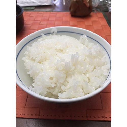 お試し版　自然農法米こしひかり「自然の恵み」白米2kg