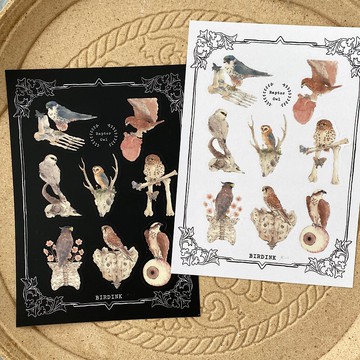 老鷹 貓頭鷹 猛猛禽 圖鑑貼紙