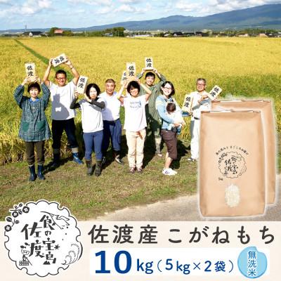 ふるさと納税 佐渡市 佐渡島産こがねもち 無洗米10Kg(5Kg×2袋)