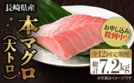 長崎県産 本マグロ 大トロ皮付き 約600g  [BAK030] 大トロ 大とろ まぐろ 刺身