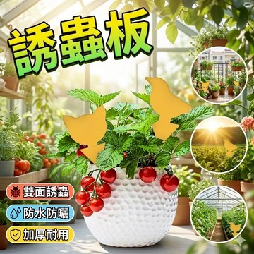 【台灣出貨】黏蟲板｜植物防蟲器｜誘蟲板｜農業害蟲防治｜園藝防蟲用品
