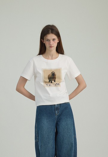 精神穩定的小水豚 復古卡皮巴拉短袖T恤