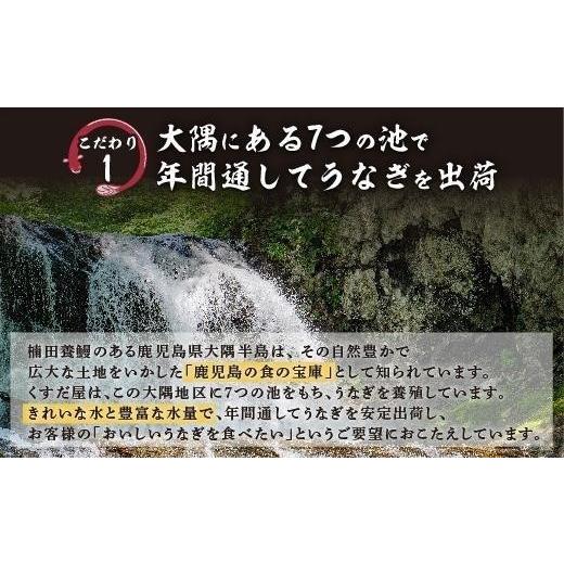 ふるさと納税 鹿児島県 大崎町 くすだ屋の鰻5尾_170gx5