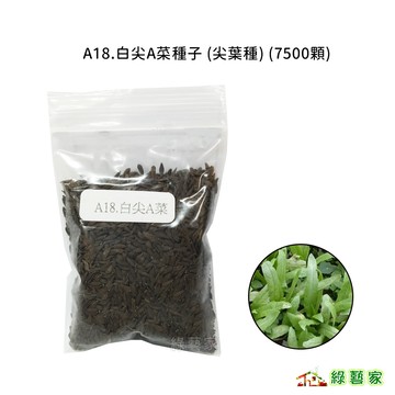 A18.白尖A菜種子7500顆(尖葉種.葉幅寬長.葉尾較鈍尖.苦味少。抽苔晚)(蔬菜種子)葉菜類種子【綠藝家】