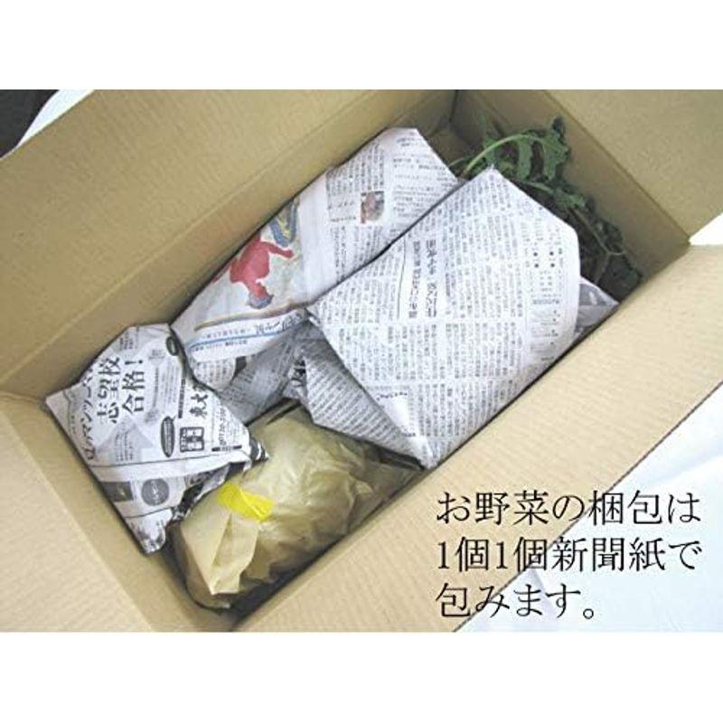 無農薬野菜セット 「旬の無農薬100％野菜セット：約１0品目」（月、金曜日発送・クール便）全国有機栽培農園の野菜を約10品目厳選しています。