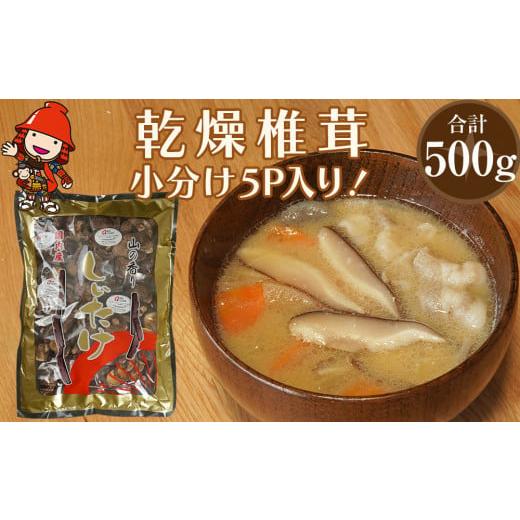 ふるさと納税 大分県 中津市 乾燥椎茸 訳あり 椎茸100g×5パック 乾しいたけ 干し椎茸 干ししいたけ 乾燥しいたけ 干しシイタケ 原木 大分県産 九州産 中津市 …