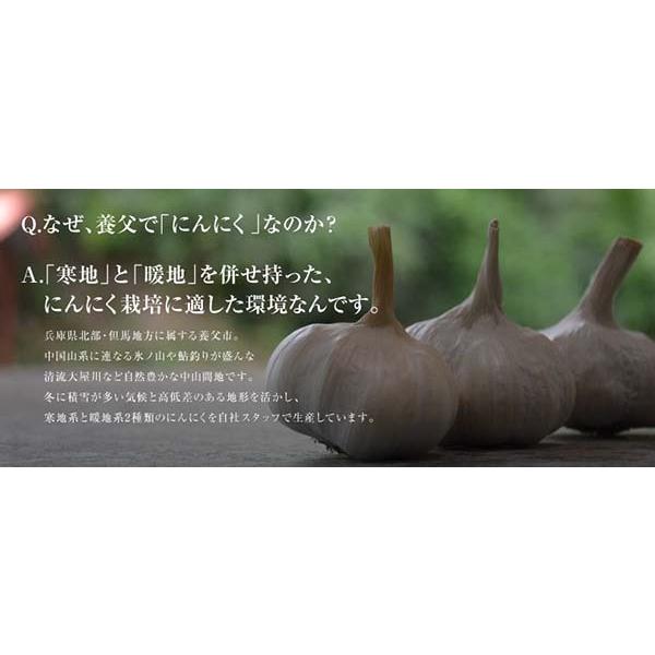 にんにく やぶひこ 金郷純白 兵庫県産 1kg  Mサイズ  産地直送 送料無料