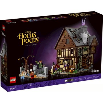 [樂享積木] LEGO 21341 迪士尼《女巫也瘋狂》 IDEAS系列