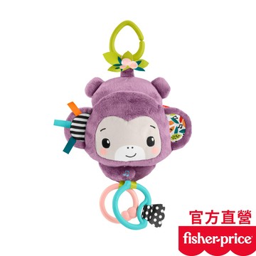Fisher-Price 費雪 歌唱感官紫色猴子