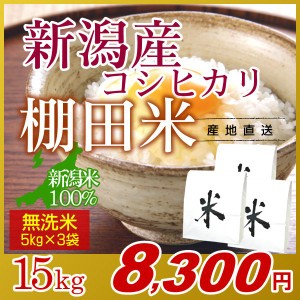 お米 15kg 無洗米 棚田米 新潟産コシヒカリ (5kg×3袋) 令和5年産 新米   米 高級銘柄米 新潟米 ブランド米 新潟 新潟県産 国内産 人気