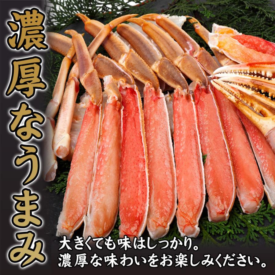 ズワイ ずわい カニ かに 蟹 特大 6L ズワイガニ(バルダイ種) 3kg 肩 脚 ｜ギフト｜蟹｜かに｜生｜高級｜バルダイ種｜特大｜6L｜6肩｜