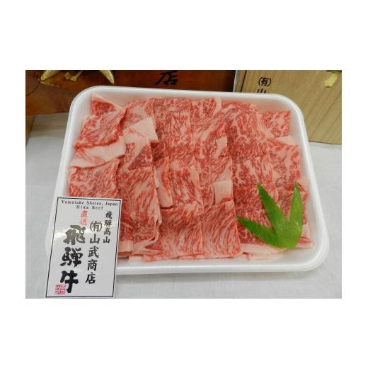 ふるさと納税 岐阜県 高山市 飛騨牛 ロース 焼肉用 500g 和牛 ロース焼肉用 ロース 焼肉用 TR3549