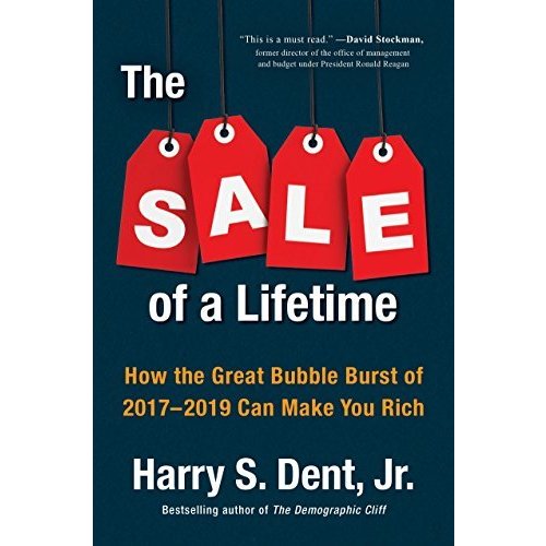 The Sale of a Lifetime: How the Great Bubble Burst of 2017-2019 Can Make You Rich