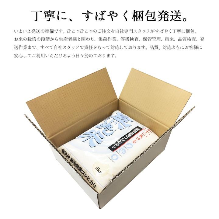 新米 令和5年産 米 5kg 無洗米 新潟県産コシヒカリ 新潟県産 お米 5キロ 白米 こしひかり お歳暮 ギフト プレゼント