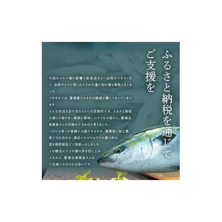 ふるさと納税 海鮮「ブリの漬け丼の素」1食80g×5P＋「マグロの漬け丼の素」1食80g×5P《迷子のブリを食べて応援 養殖生産業者応援プロ.. 高知県芸西村