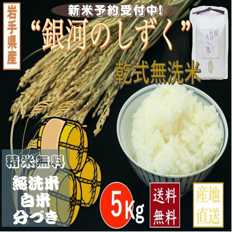 米 岩手県雫石産 銀河のしずく５Kg 白米・無洗米・分づきにお好み精米 送料無料 当日精米