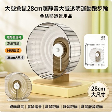 💕在臺出貨🔥大號倉鼠28cm超靜音大號透明運動跑步輪金絲熊造景用品 跑輪倉鼠 倉鼠造景 倉鼠跑輪 靜音跑輪 倉鼠靜音跑輪