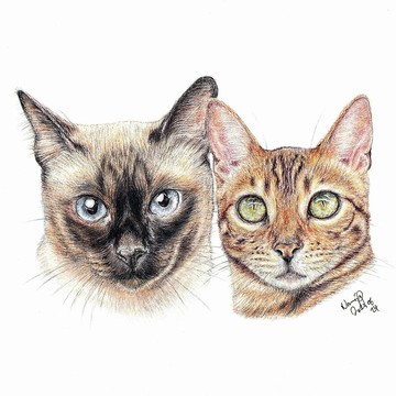 【客製】寵物手繪 | 合照 |  暹羅貓 | 豹貓 | 木顏色 | 貓