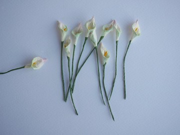 紙花，50 朵，DIY 材料 1x2.00 公分。綠色刷紋淺粉色