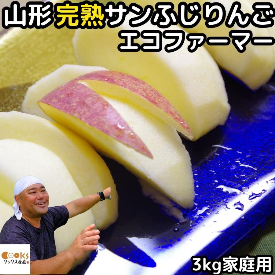 りんご 訳あり ふじ サンふじ 3kg 6〜12玉 糖度 減農薬 エコファーマー 完熟 山形 太田農園 家庭用 林檎