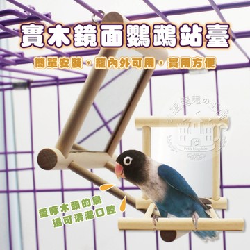 【小搗蛋鬼の王國】實木鏡面鸚鵡站臺 鳥用鏡子 鏡子站架 鏡子站台 懸掛式木質鏡面鳥站架 鸚鵡玩具 鸚鵡 文鳥 鳥用品 鳥
