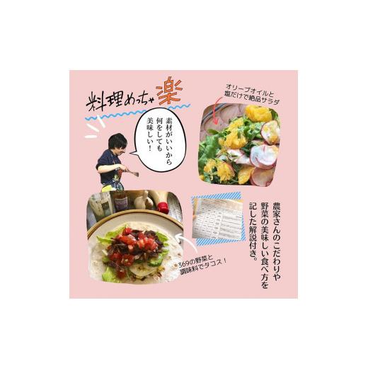 ふるさと納税 京都府 亀岡市 ＜３６９商店＞京都丹波産旬の野菜セット　※全て栽培期間中農薬・化学肥料不使用※