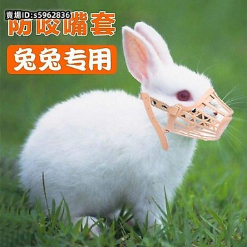熱賣🔥免運新品兔子防咬嘴套頭套寵物防啃咬神器嘴巴項圈垂耳兔子防兔子咬線