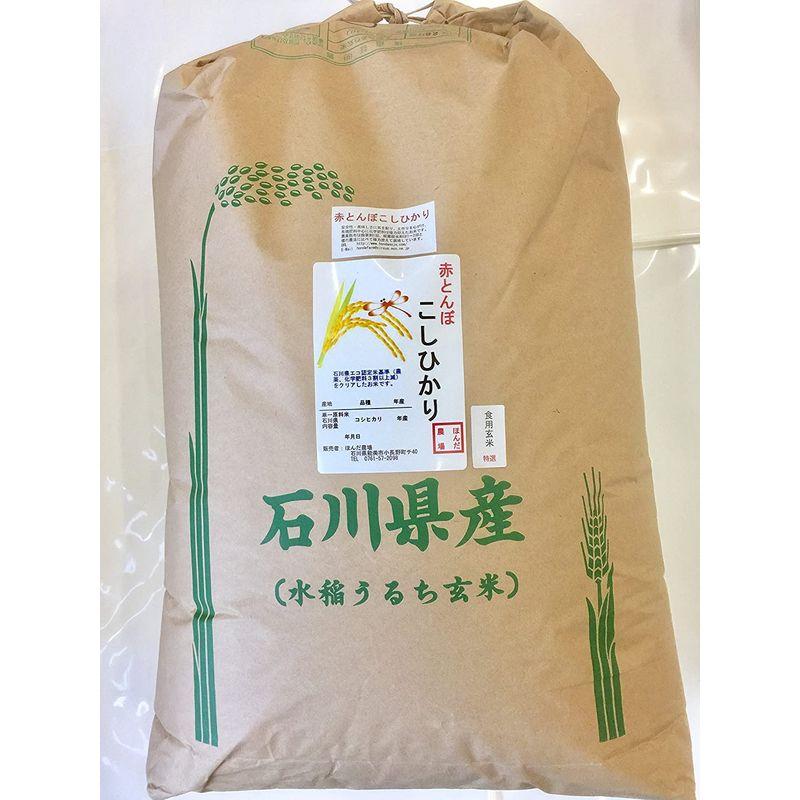 令和4年産 新米 石川県産 加賀百万石 赤とんぼ こしひかり 玄米 30ｋｇ