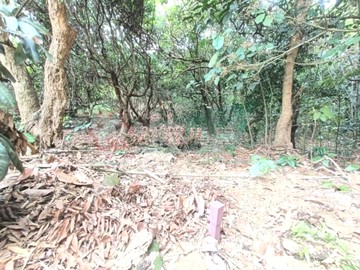 員林百果山方正美田｜彰化縣員林市出水段