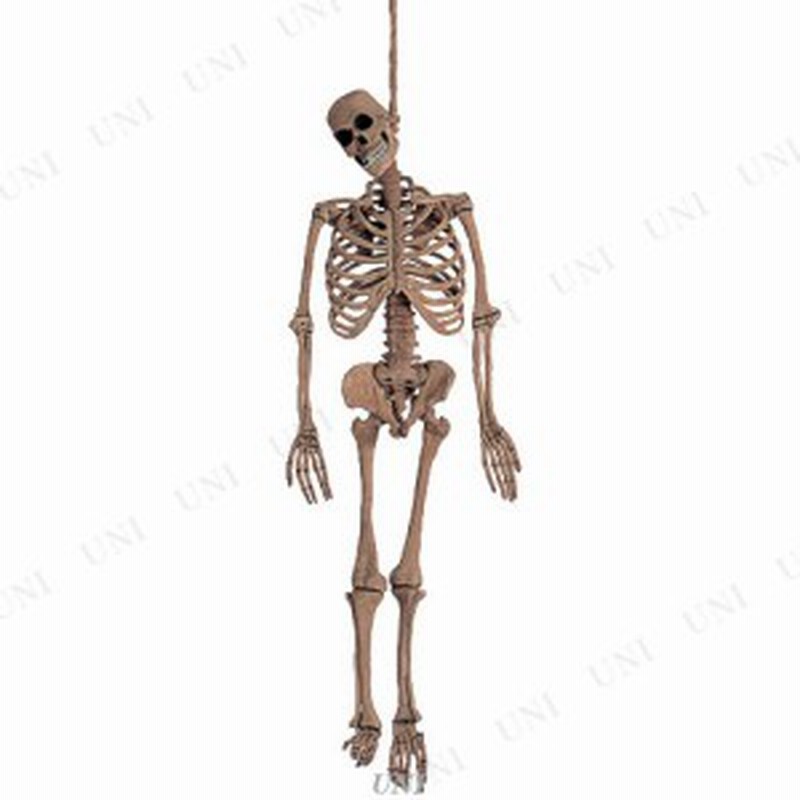 150cm 5ft ラテックススケルトン スカル ドクロ ハロウィン 雑貨 怖い ガイコツ 骸骨 置物 ホラーハンギング 吊物 吊り物 吊り下げ 吊り 通販 Lineポイント最大1 0 Get Lineショッピング