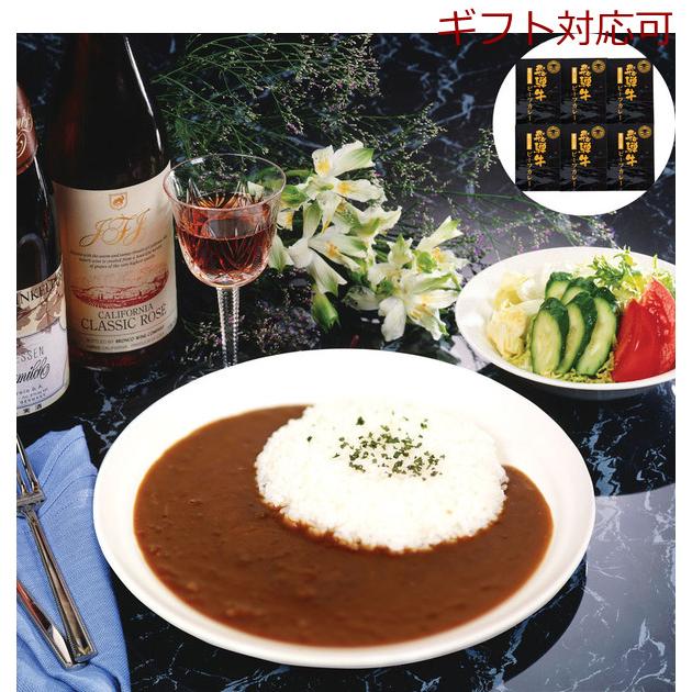 岐阜 飛騨牛カレー ギフト対応可