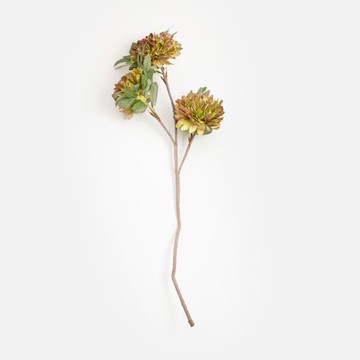 Flora芙蘿拉花插多瓣菊82cm 紫綠