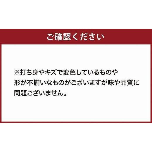 ふるさと納税 福岡県 八女市  もったいな果シリーズ びわ 缶詰 M2号缶×12缶 セット 国産