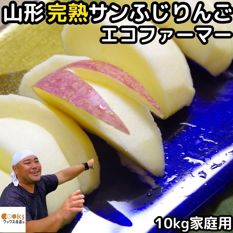 りんご 訳あり ふじ サンふじ 10kg 24〜46玉 糖度 減農薬 エコファーマー 完熟 山形 太田農園 家庭用 林檎