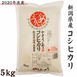 コシヒカリ 新潟県産 5kg 白米 2022年度産 矢田営農組合 農家が作ったお米 こしひかり