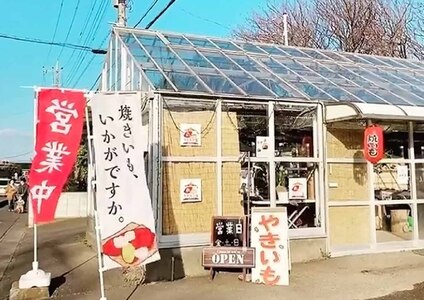 ポテト小屋の生さつまいも 5kg 送料無料　 さつまいも　紅はるか　鹿嶋市 (KBR-3)