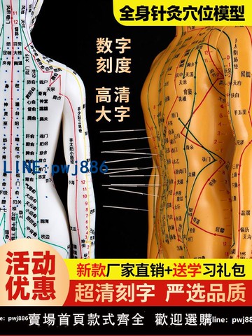 【便宜有好貨】人體針灸模型人經絡穴位中醫全身十二銅人模特圖練習小皮人可扎針