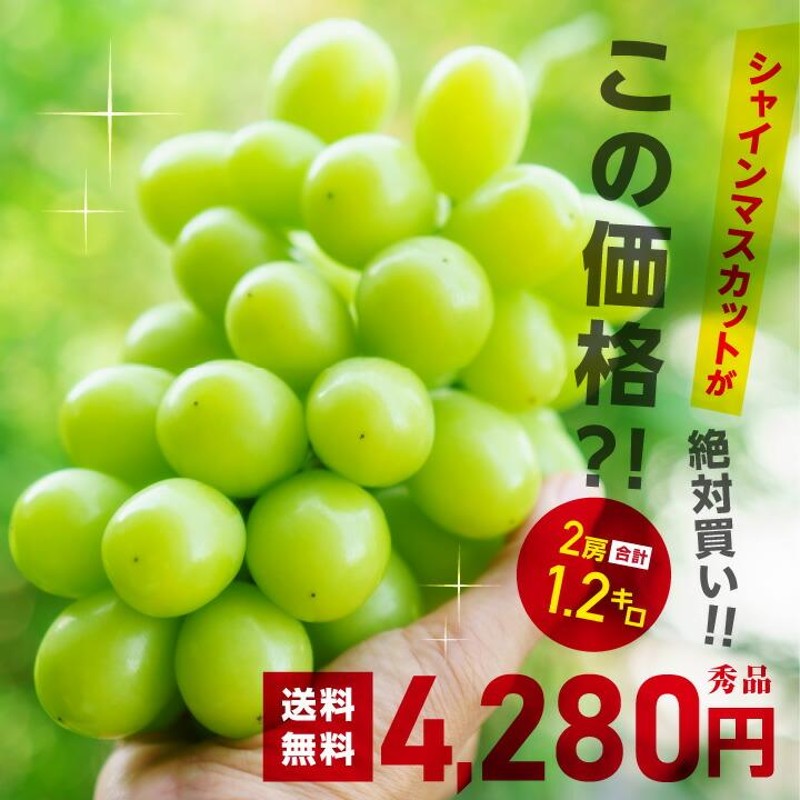 シャインマスカット 秀品 2房 約1.2キロ ＼最安値に挑戦／ 産地
