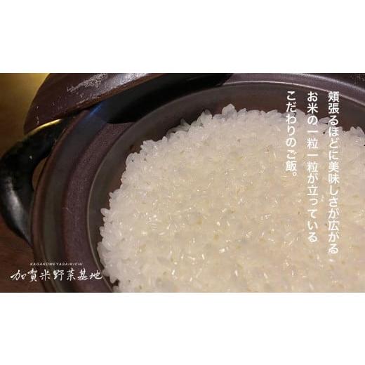 ふるさと納税 石川県 加賀市 農薬・化学肥料不使用「厳選3種食べ比べセット」白米3種各2kg 『有機JAS認証』