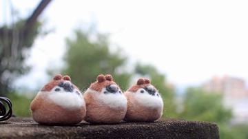 Anny羊毛氈麻雀兔耳鳥