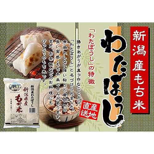 田中米穀 もち米 新潟県産 わたぼうし 1kg