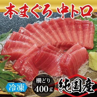 ふるさと納税 越前市 本まぐろ 中トロ 400g(柵どり)